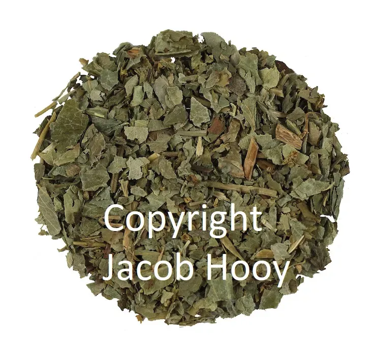 Jacob Hooy Vrouwenmantel Frauenmanteltee geschnitten