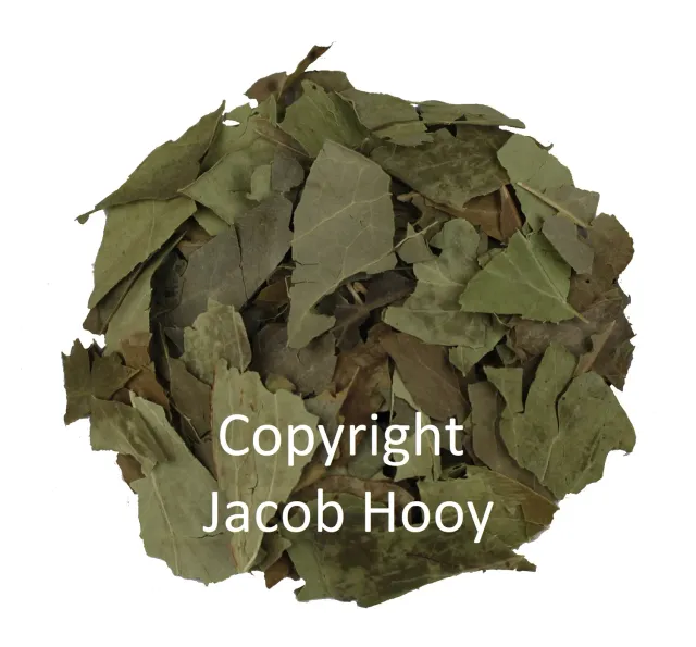 Jacob Hooy Klimop geschnitten Kraut