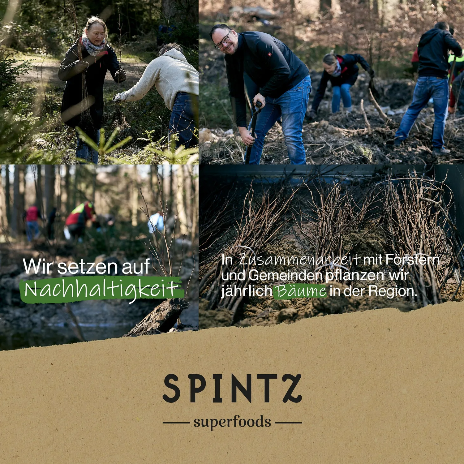 SPINTZ Bio Maca Pulver süßlich