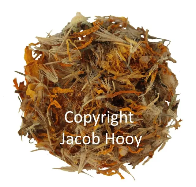 Jacob Hooy Valkruidbloesem Arnikablüten