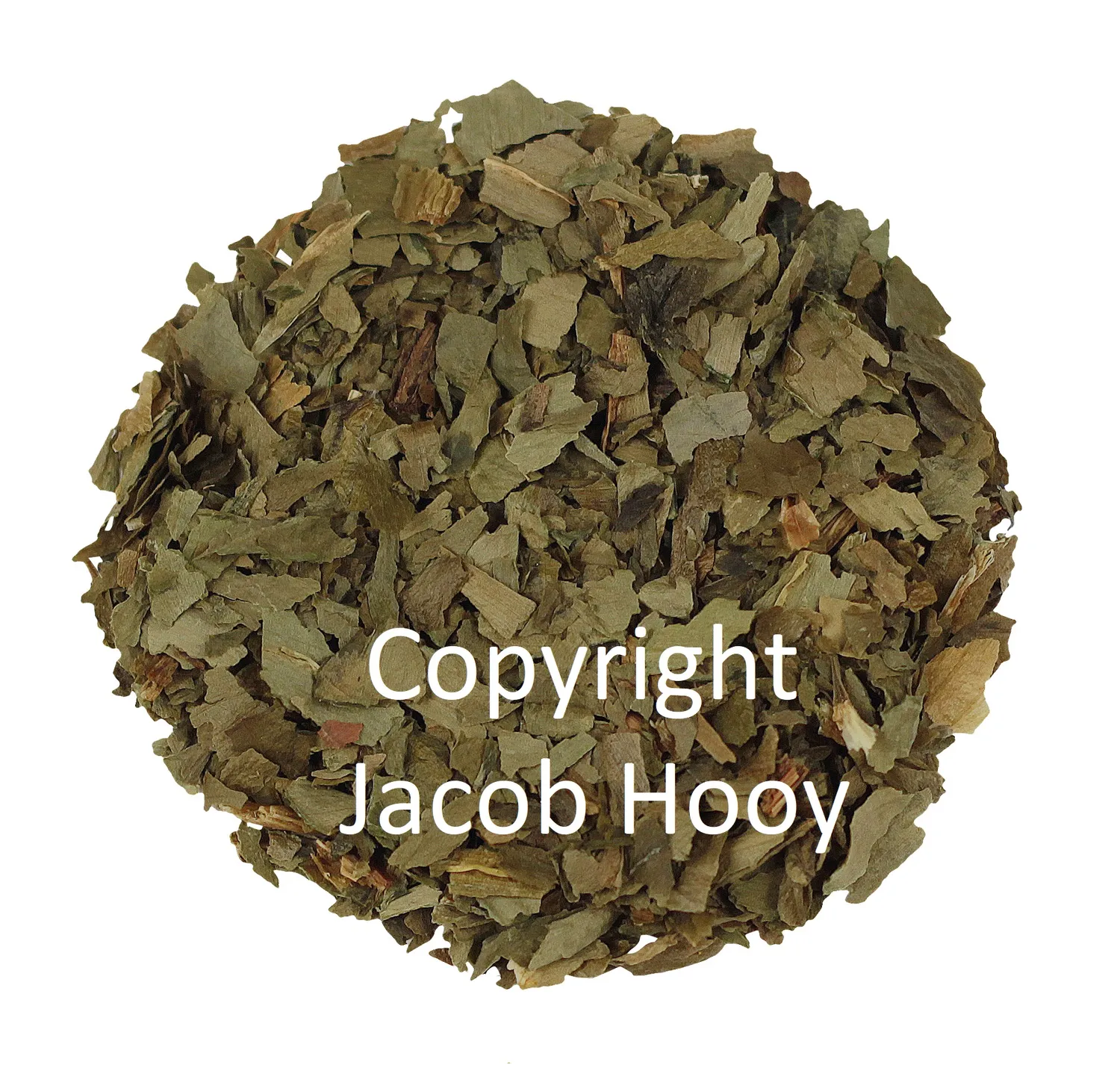 Jacob Hooy Daslook Bärlauch