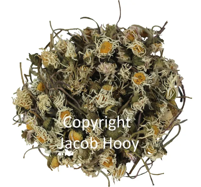 Jacob Hooy Madeliefjes Gänseblümchentee