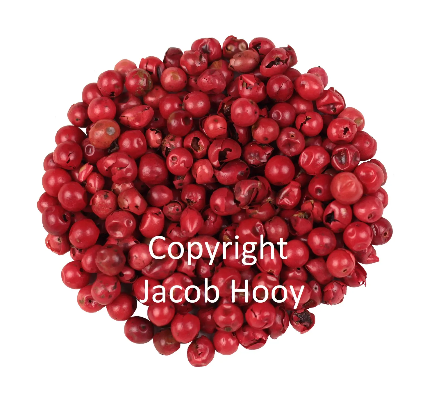 Jacob Hooy Peperkorrels Pfefferkörner mild