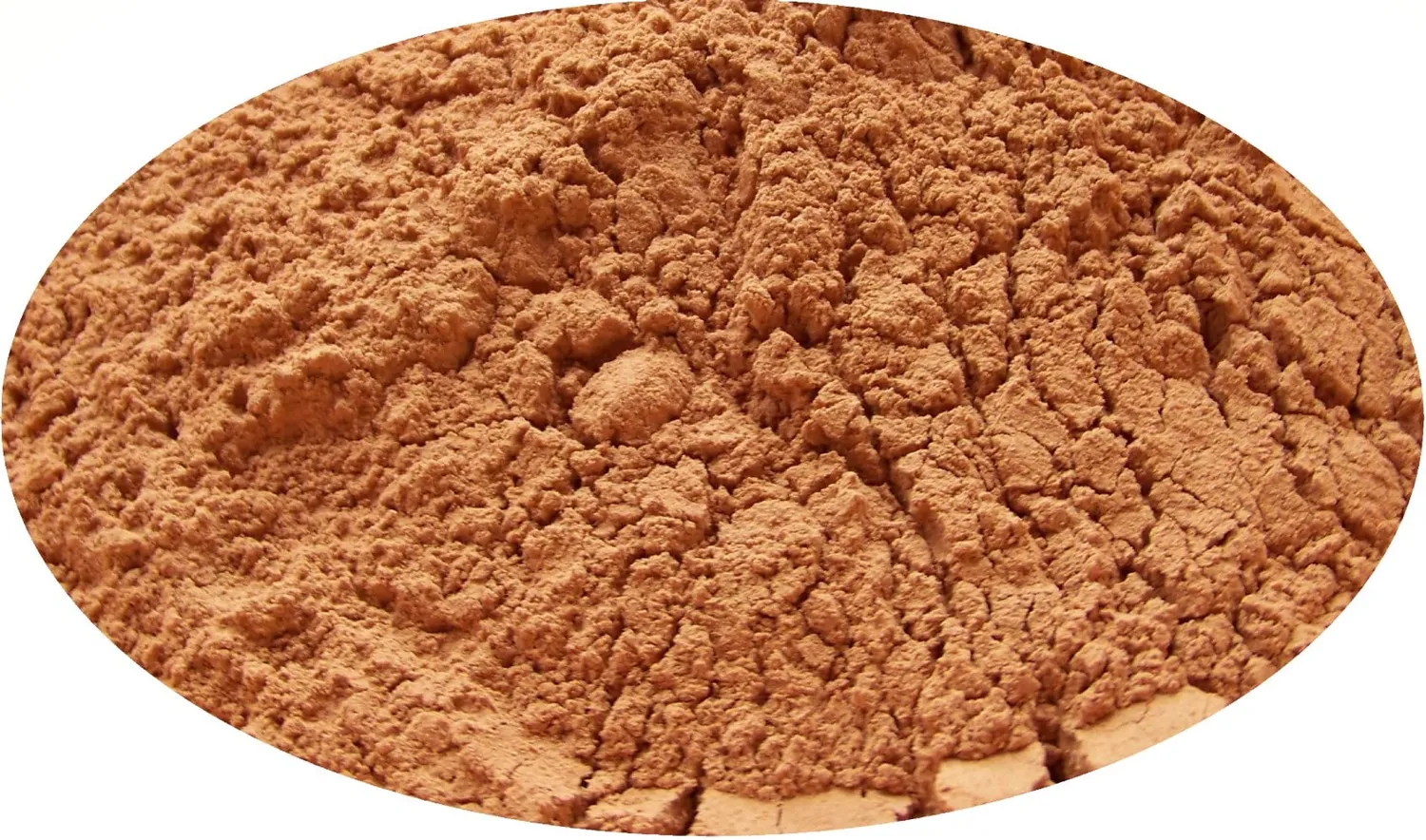 Eder Gewürze Bio Zimt gemahlen Madagaskar 1 kg cumarinarm