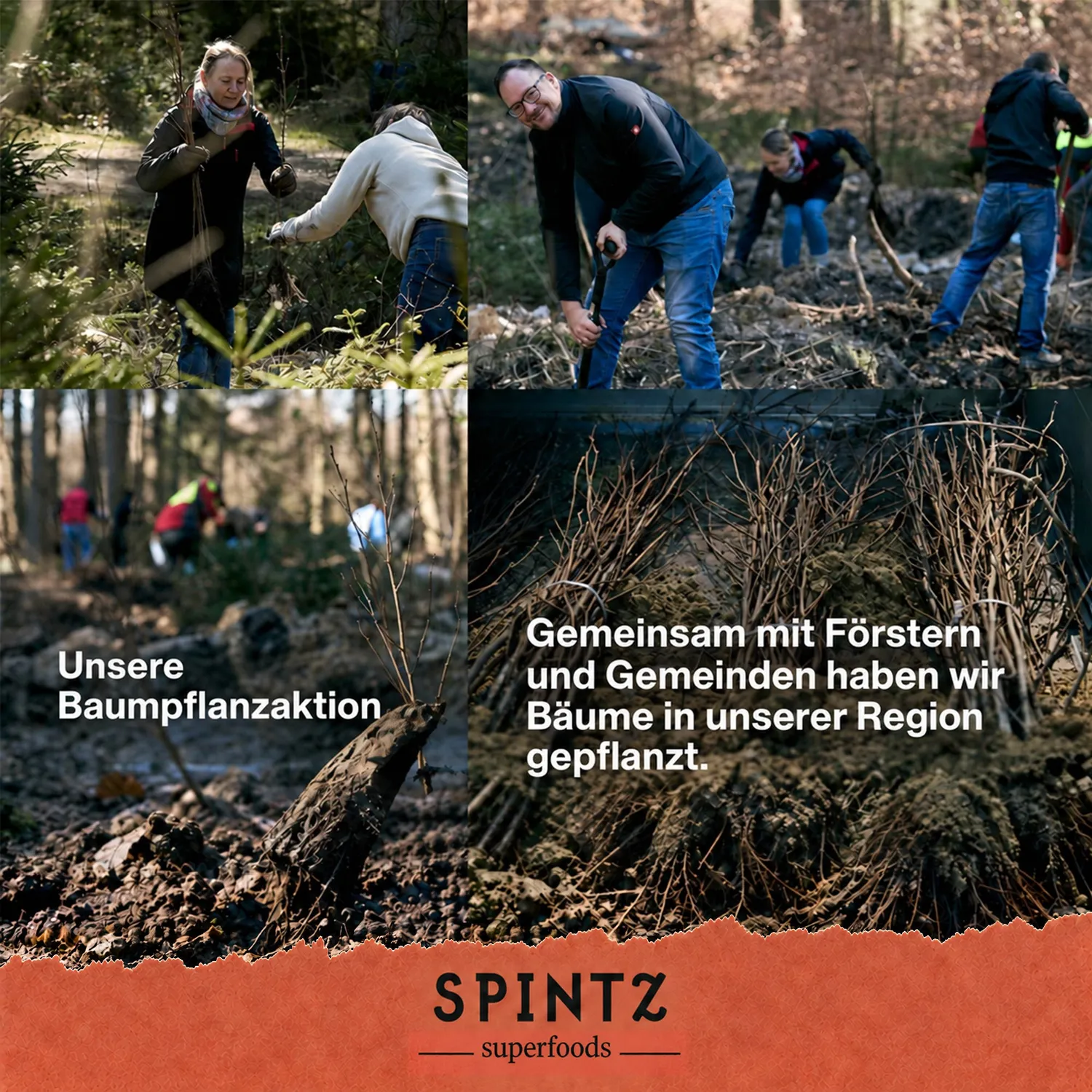 SPINTZ Bio Nelken Kapseln würzig