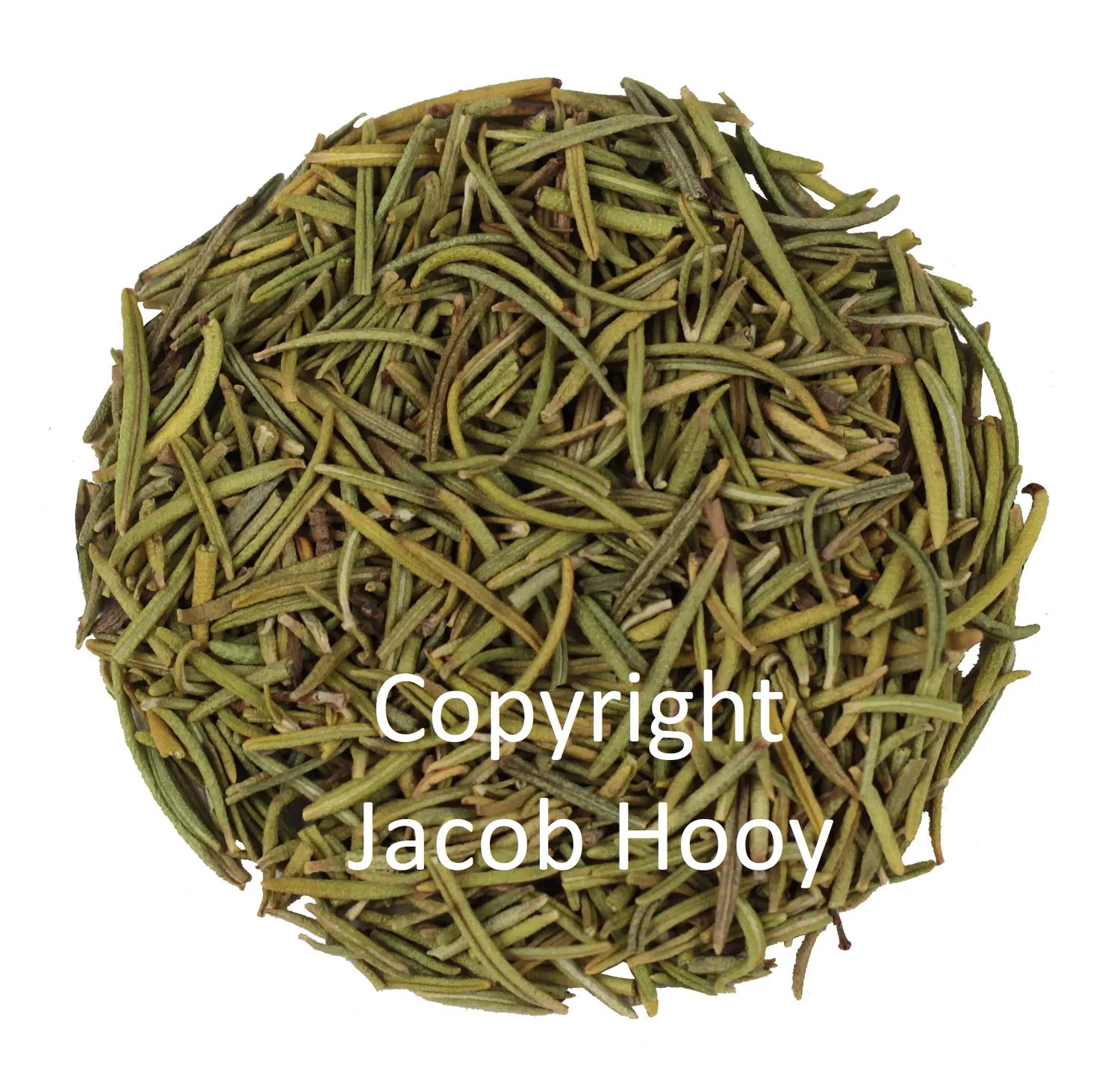 Jacob Hooy Rosmarin
