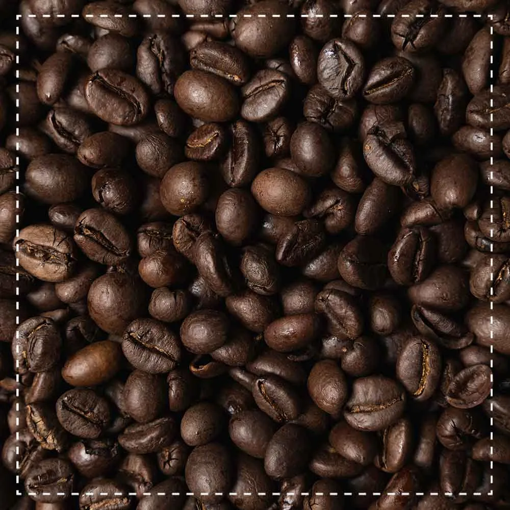 Biotiva Cavallo Nero Espresso Mild Bio schokoladig