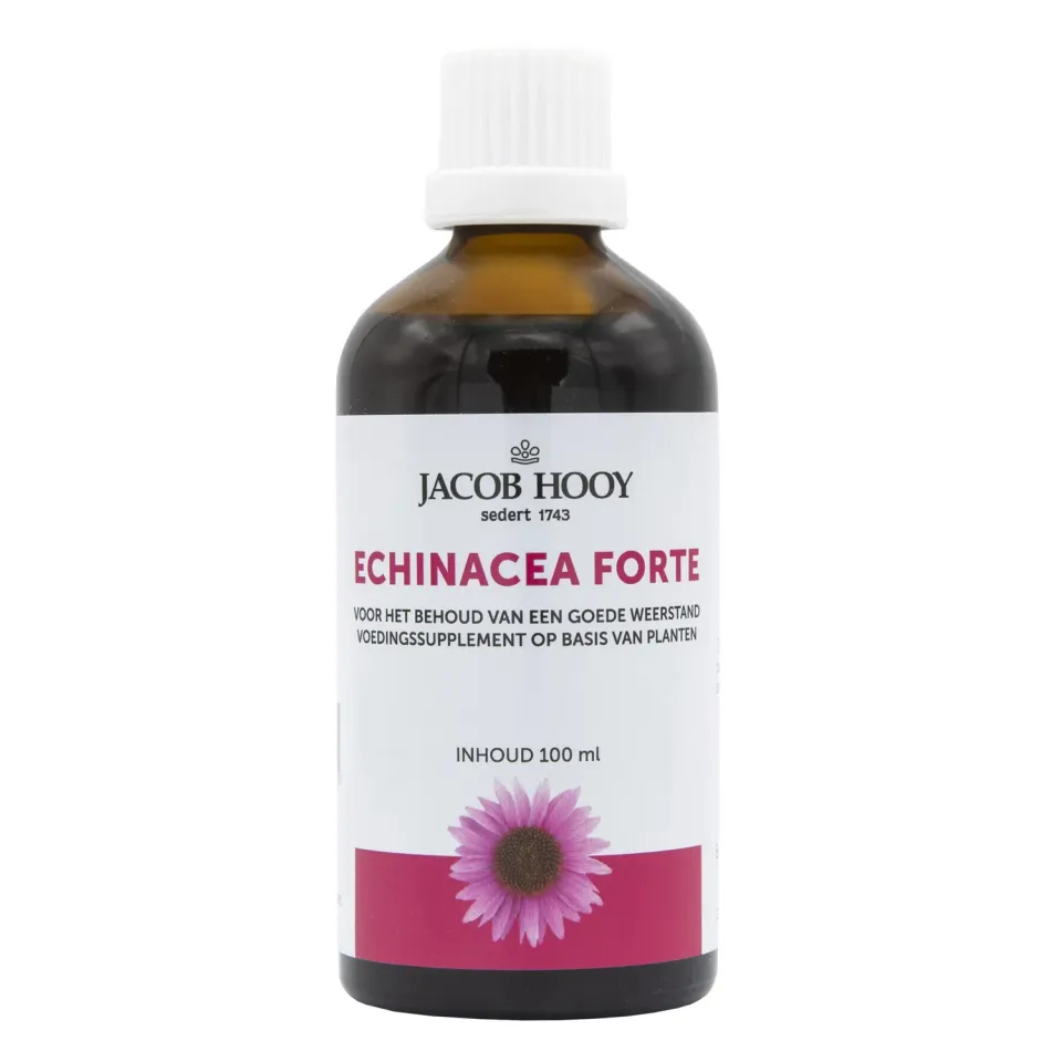 Jacob Hooy Echinacea Forte Tropfen 100 ml für Abwehr