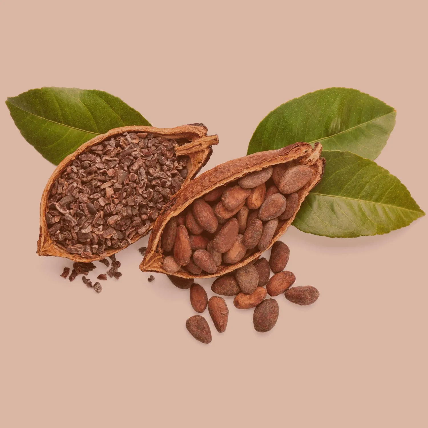 SPINTZ Bio Kakao Nibs knackig