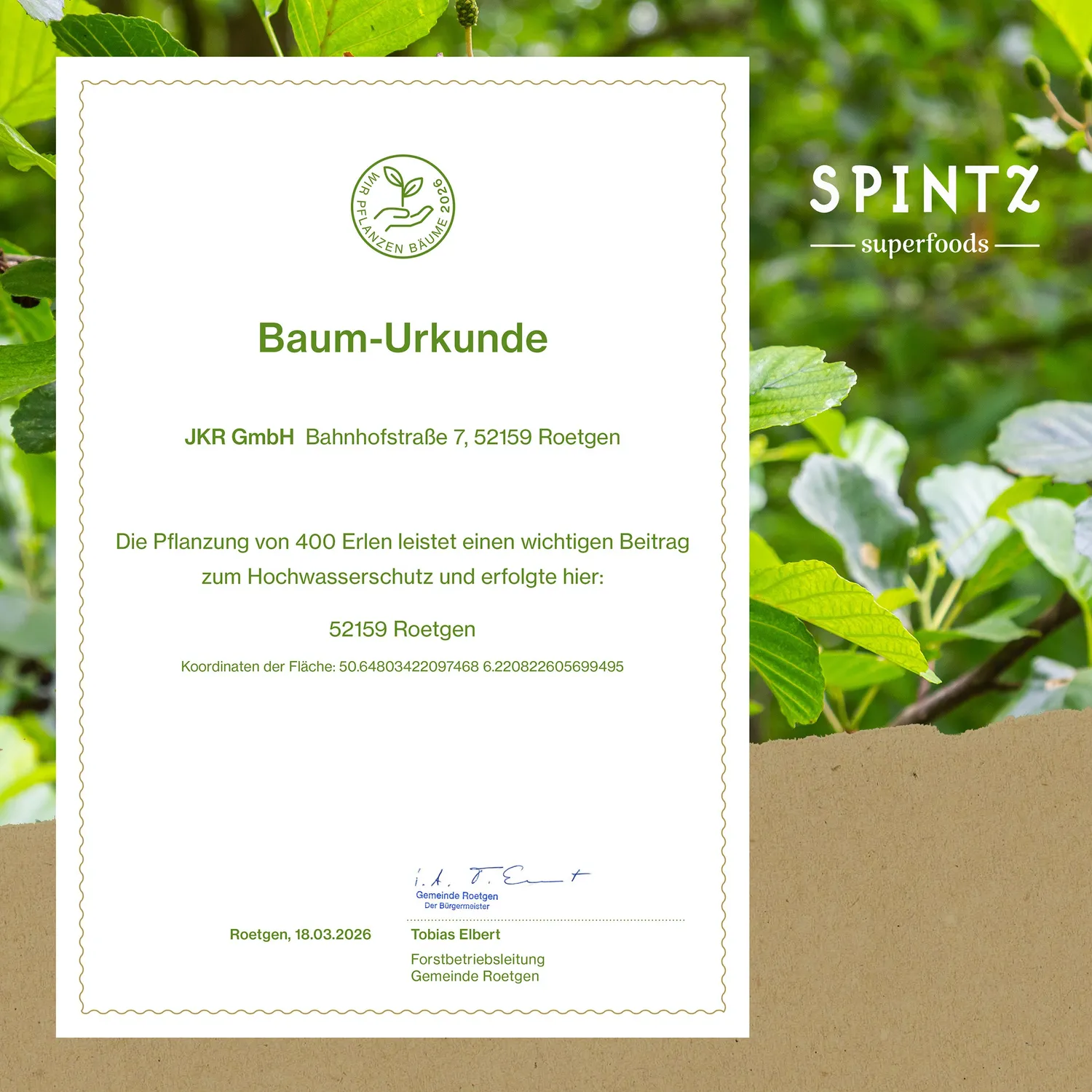 SPINTZ Bio Basilikum getrocknet