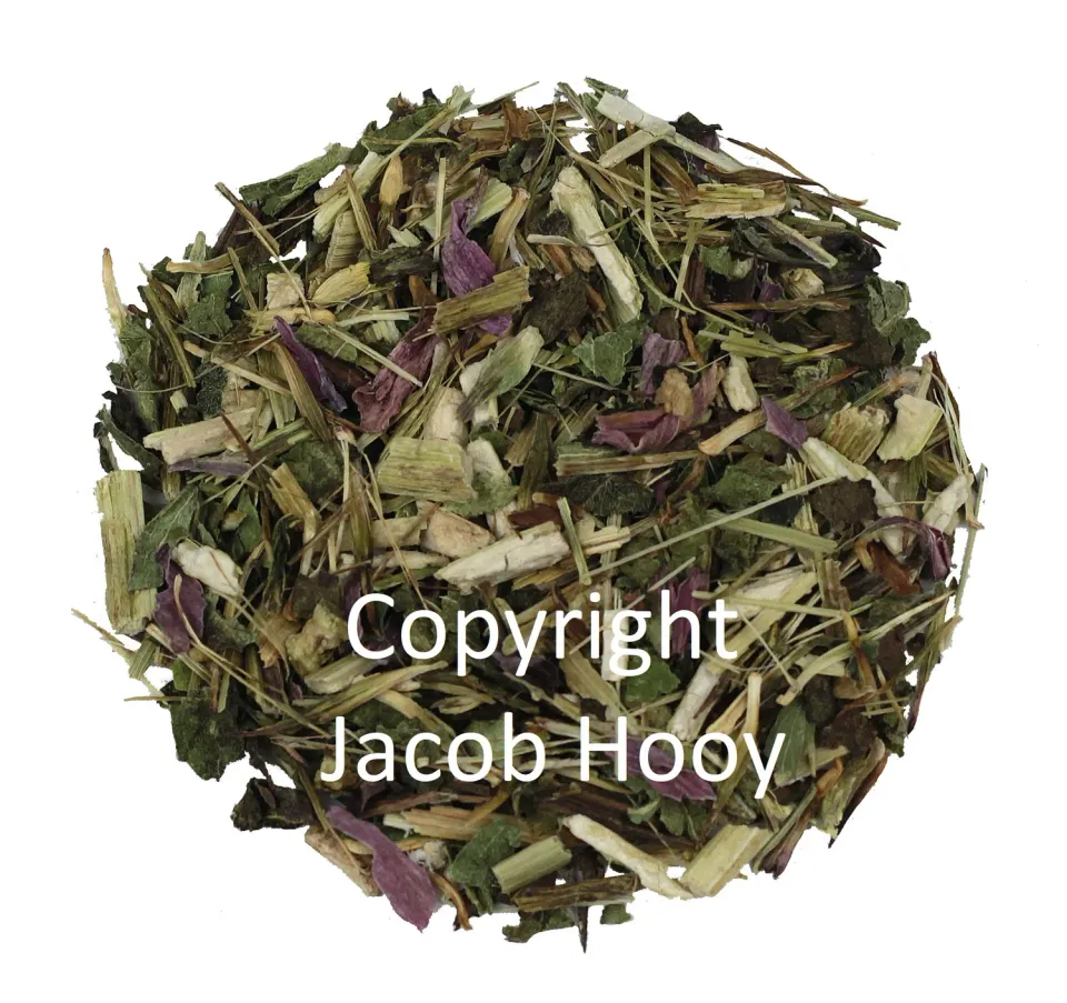 Jacob Hooy Echinacea Purpurea Kräutertee