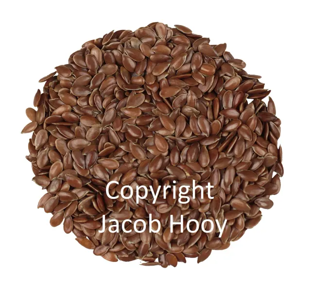 Jacob Hooy Leinsamen ganz Samen ballaststoffreich