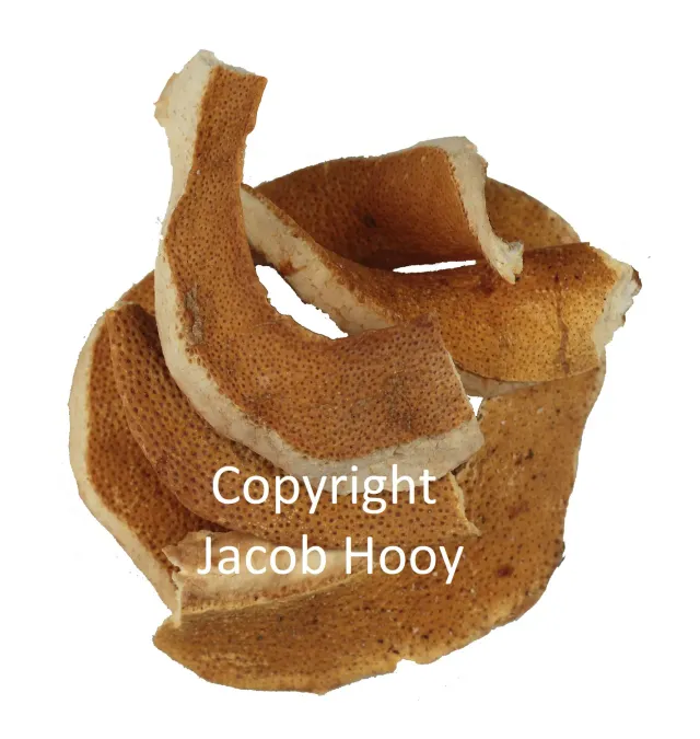 Jacob Hooy Grapefruitschalen ganz naturrein
