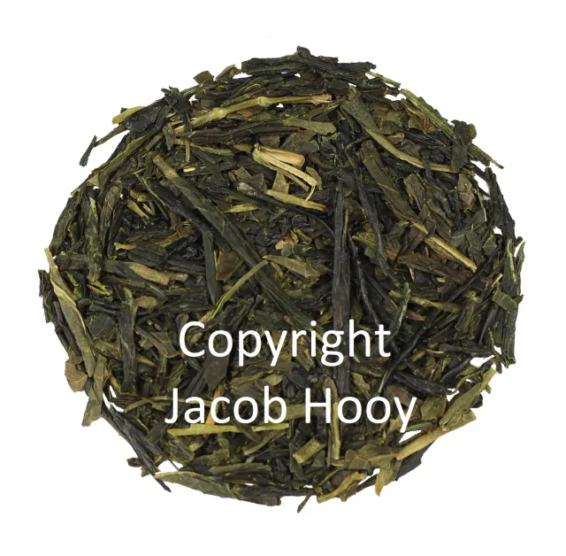 Jacob Hooy Japanischer Grüntee Sencha Tee naturrein