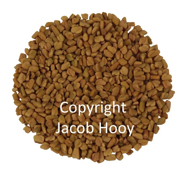 Jacob Hooy Fenegriek Bockshornkleesamen mild
