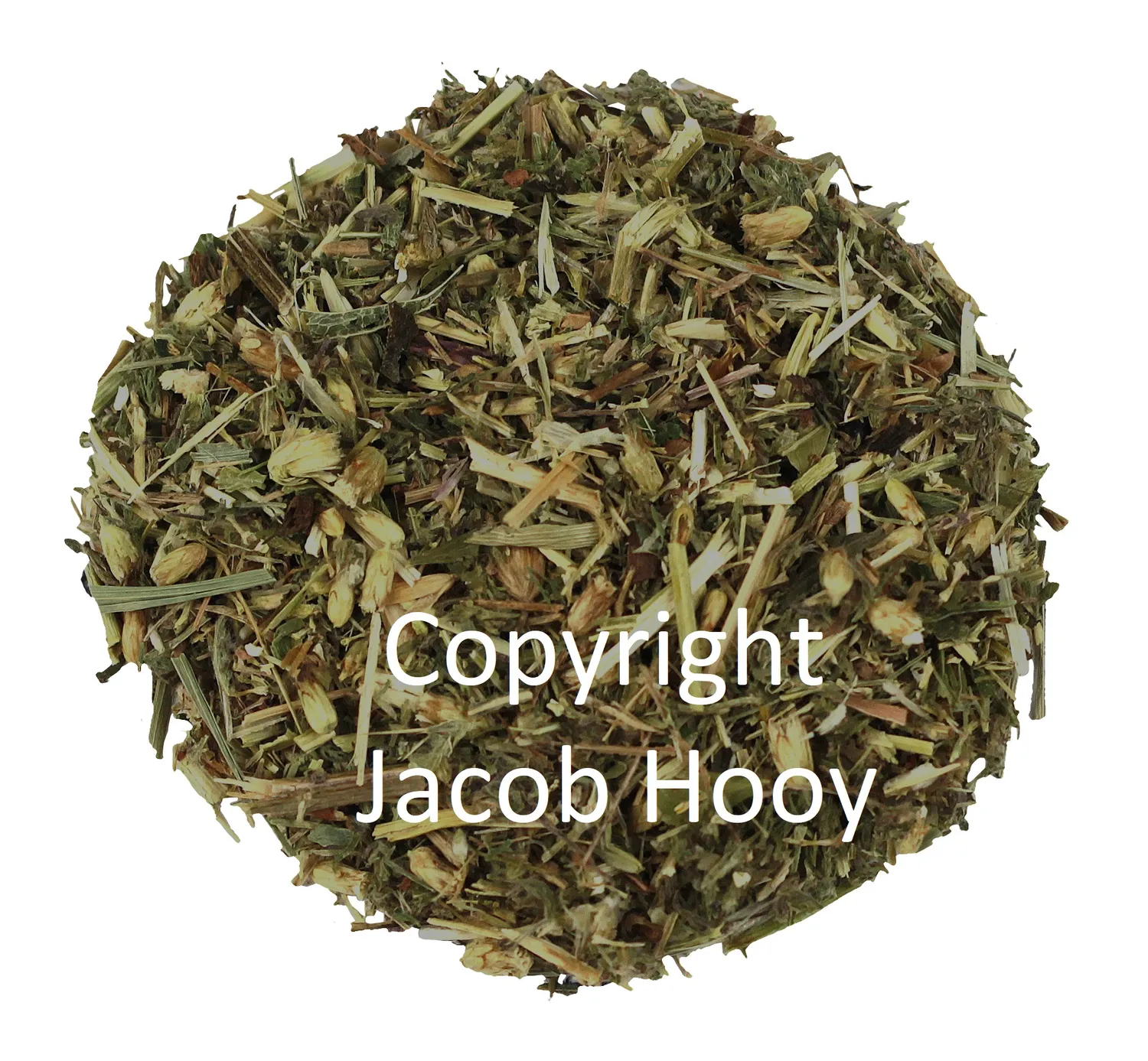 Jacob Hooy Duizendblad