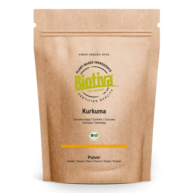 Biotiva Kurkuma Pulver Bio 3% Curcumin