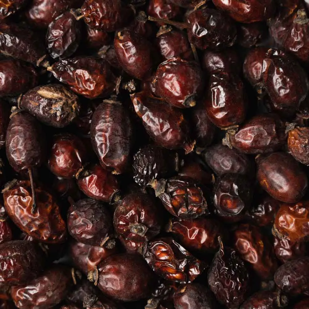 Biotiva Hagebutten ganze Bio Früchte-Tee mild