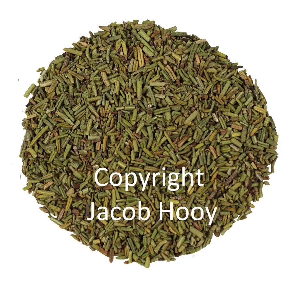 Jacob Hooy Rosmarin