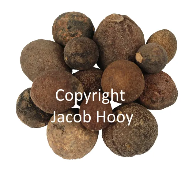 Jacob Hooy Orangenäpfel ganz getrocknet
