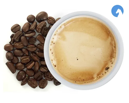 Biotiva Cavallo Nero Extra Mild Kaffeebohnen mild