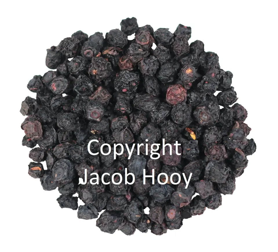 Jacob Hooy Blaubeeren blau ganz