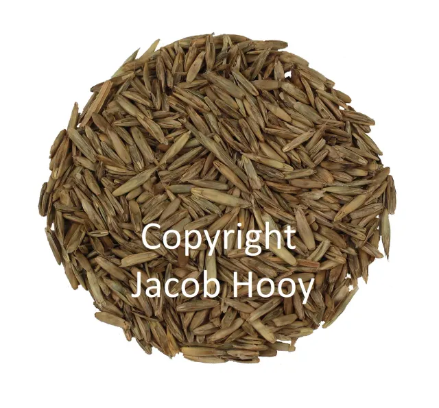 Jacob Hooy Hooikrop Kraut naturrein