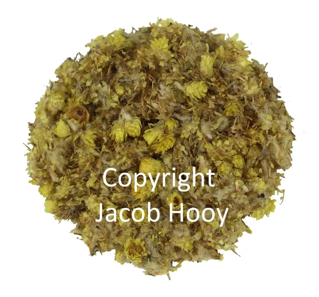 Jacob Hooy Katzenpfötchen geschnitten Kraut naturrein