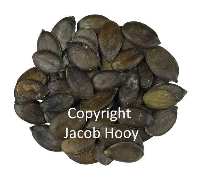 Jacob Hooy Kürbiskerne naturrein