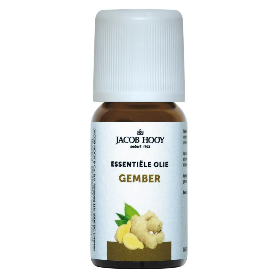 Jacob Hooy Gember Ingwer ätherisches Öl 10 ml naturrein