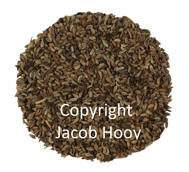 Jacob Hooy Petersiliensamen ganz würzig