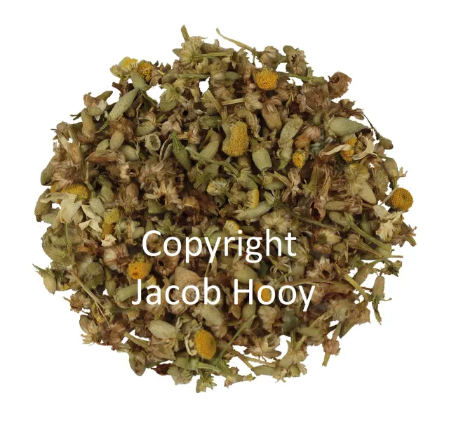 Jacob Hooy Kamille Matricaria chamomilla Tee mild