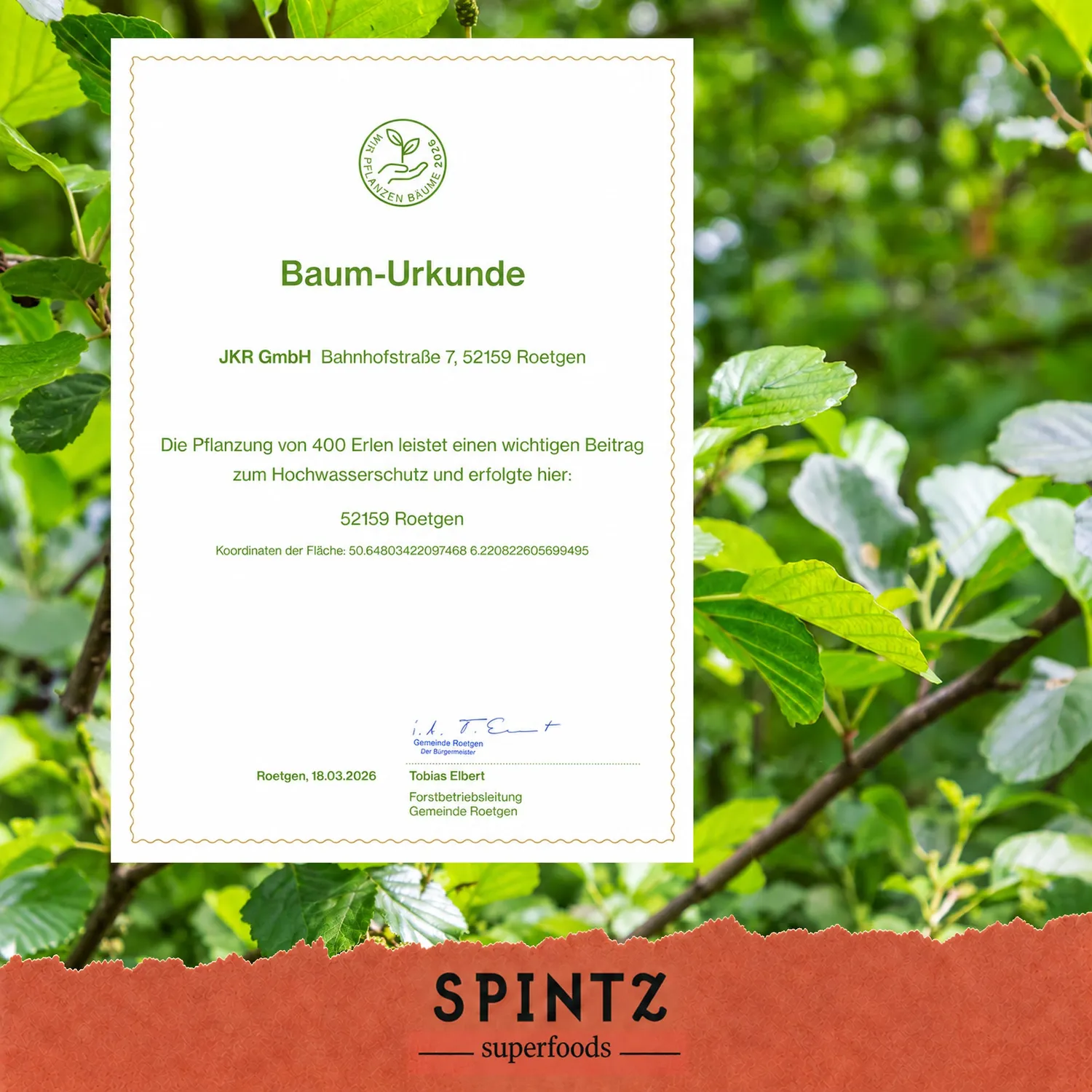SPINTZ Bio Nelken Kapseln würzig
