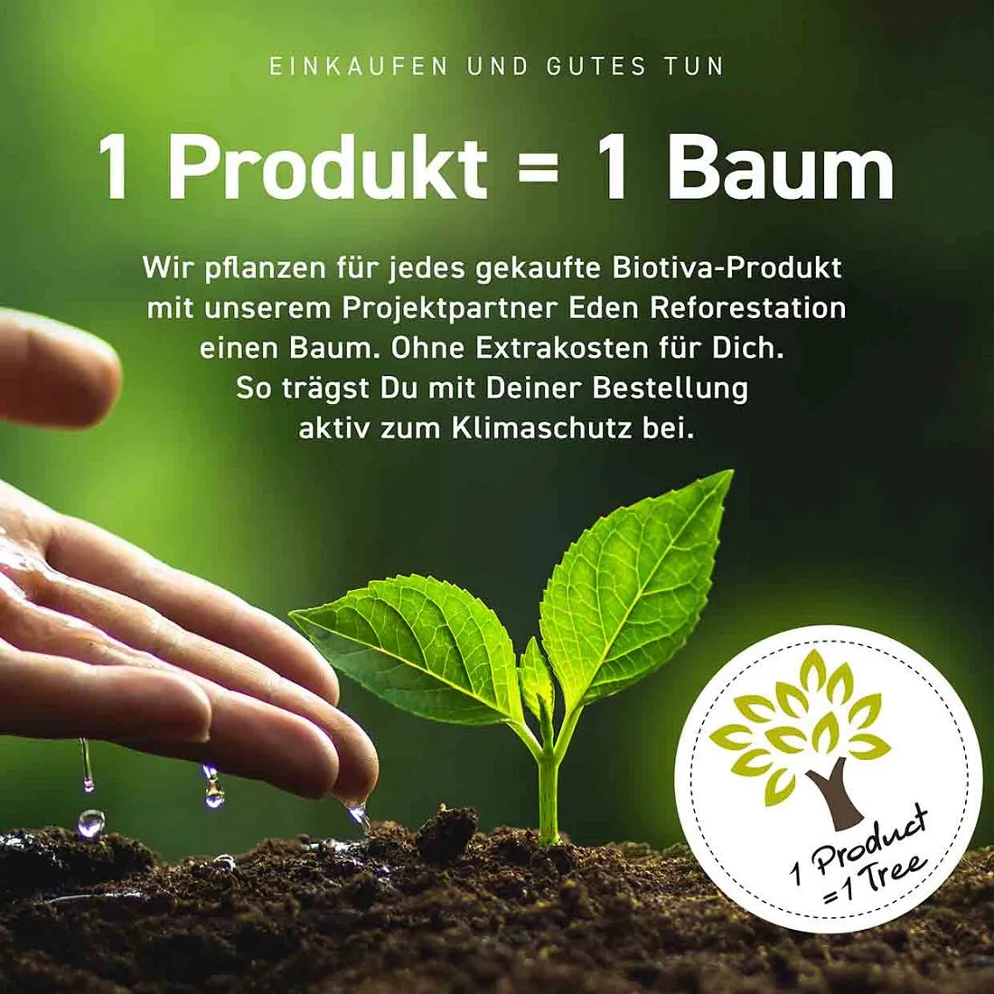 Biotiva Riesenknöterich Extrakt 10% Resveratrol Kapseln 90 Stück vegan