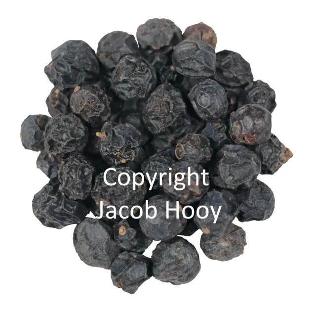 Jacob Hooy Sleedoornbessen