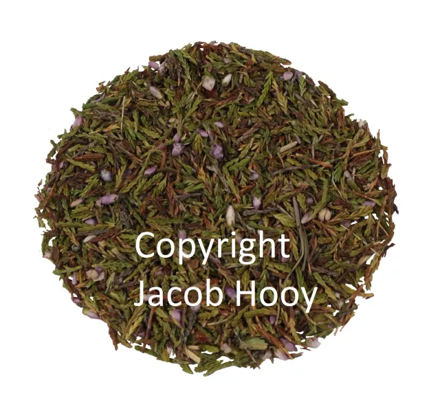 Jacob Hooy Heidekraut