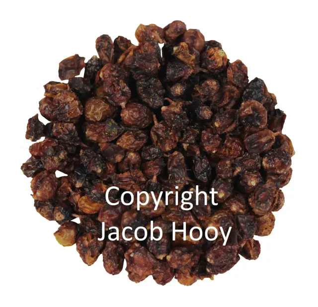 Jacob Hooy Sanddornbeeren ganz getrocknet