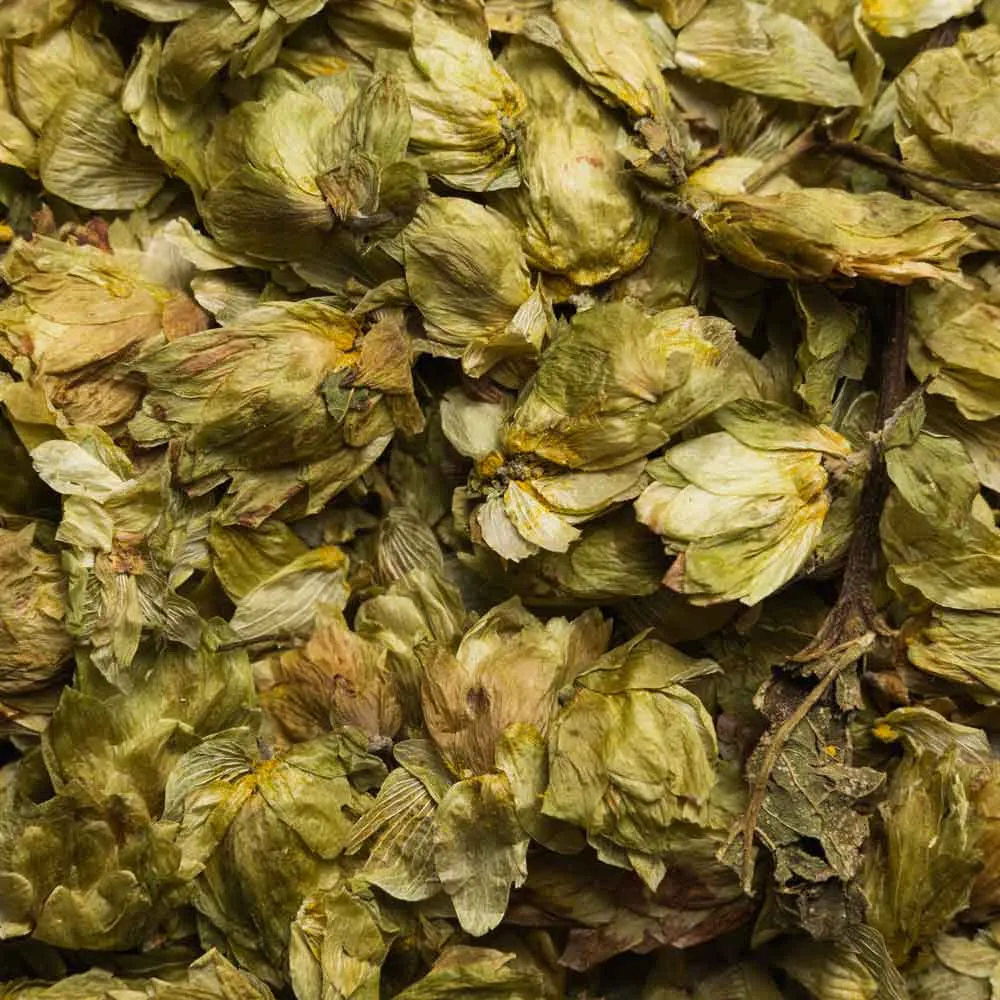 Biotiva Hopfenblüten Tee Bio herb-würzig
