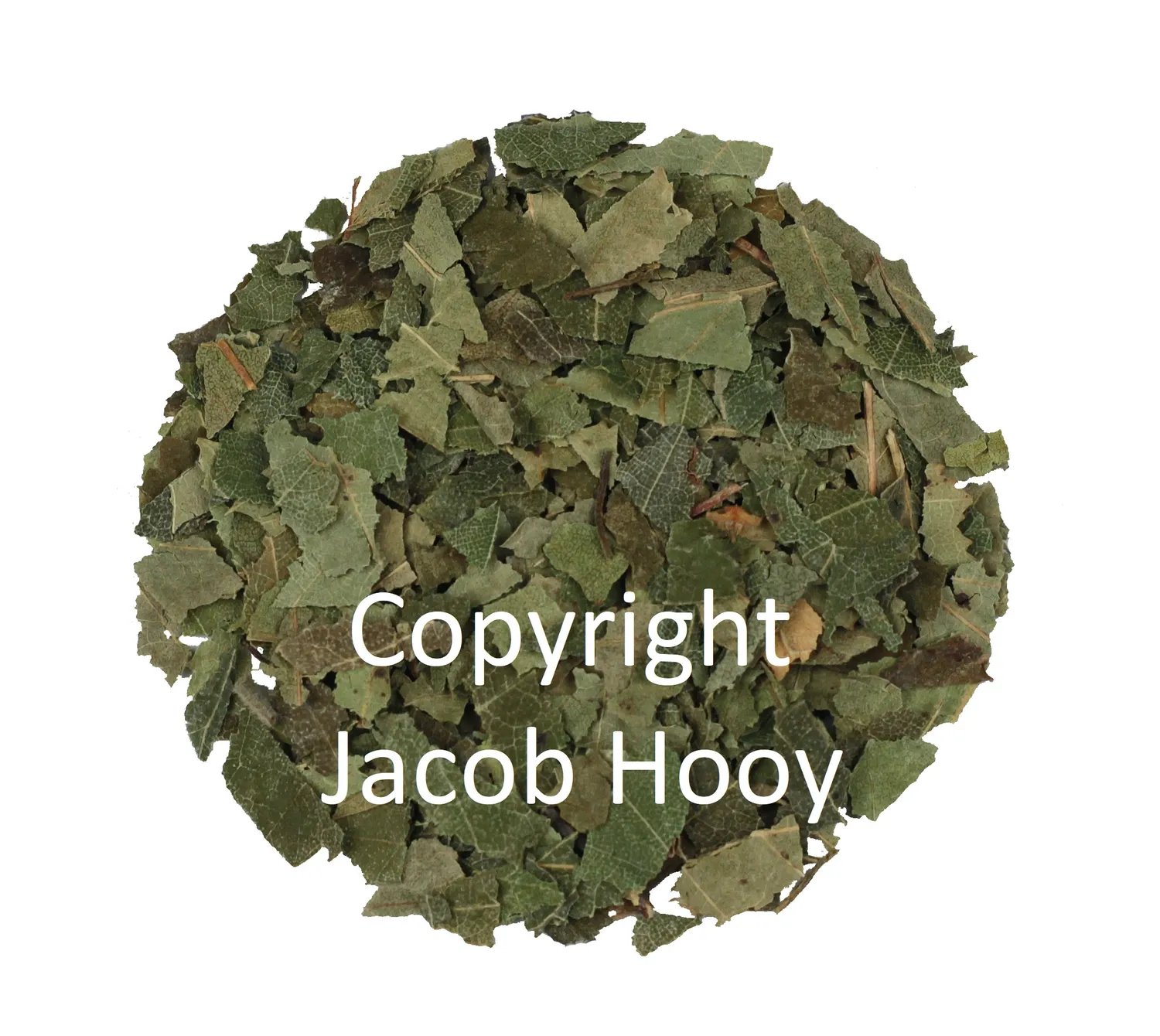 Jacob Hooy Berkenblad Birkenblätter Tee